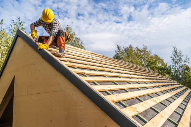 Best Metal Roofing Contractor  in Chester, VA